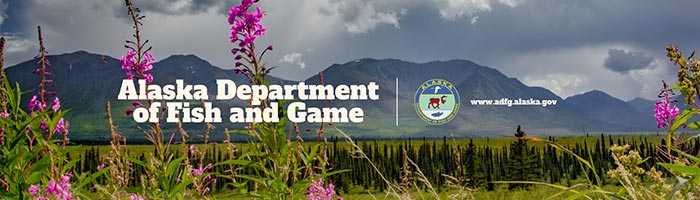 Alaska Department of Fish and Game | www.adfg.alaska.gov