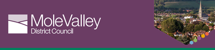 Mole Valley District Council